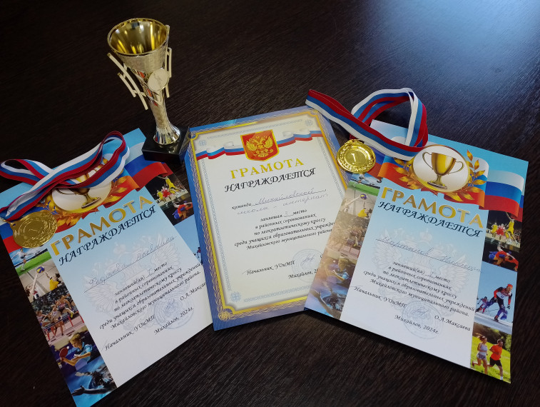 Легкоатлетический кросс.